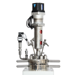 Bench top lab pressure reactors